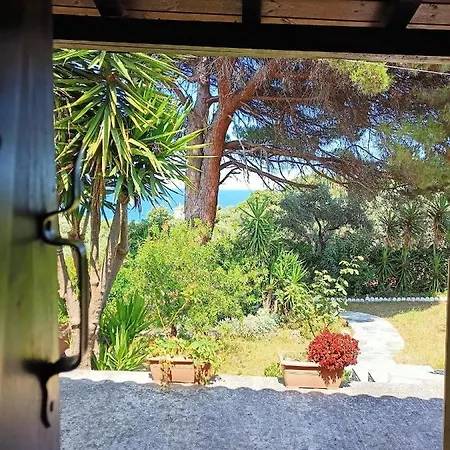 Coocooonari - Petra Potistika