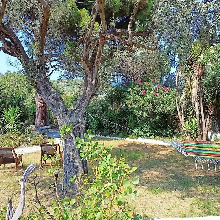 Appartement Coocooonari - Petra *