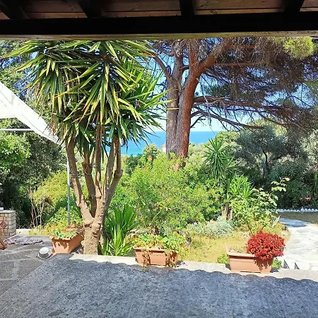 Coocooonari - Petra *