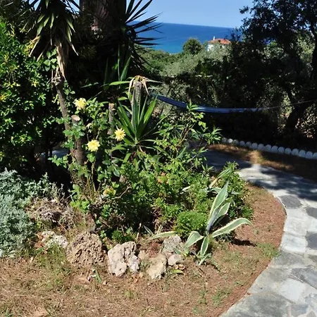 Coocooonari - Petra Lägenhet *