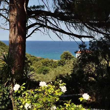 Coocooonari - Petra Lägenhet