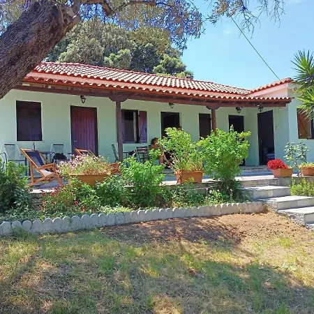 Coocooonari - Petra Potistika