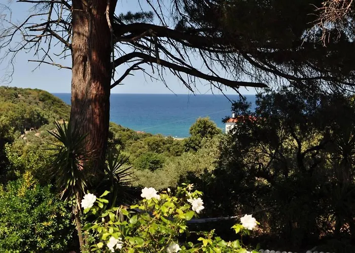 Coocooonari - Petra アパート