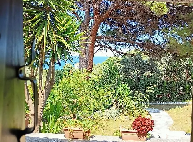 Coocooonari - Petra ポティスティカ