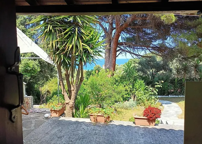 Coocooonari - Petra *